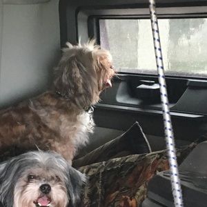 Meet your Posher, Lisa